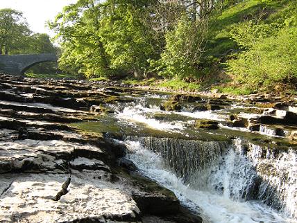 Stainforth Force (Waterfall)